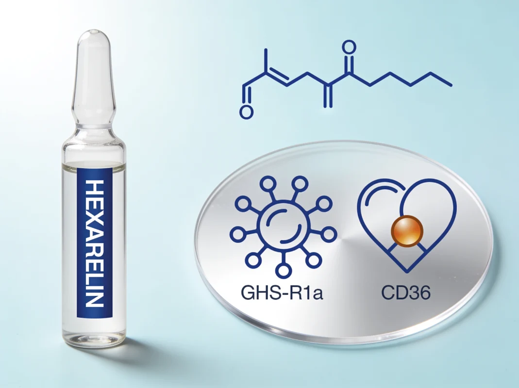 Hexarelin research peptide vial with a dual GHS-R1a pituitary and CD36 cardiac receptor diagram on a periwinkle background.